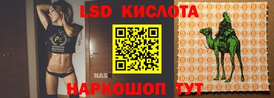 МДПВ Ливны
