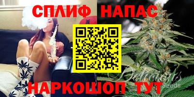 МДПВ Ливны
