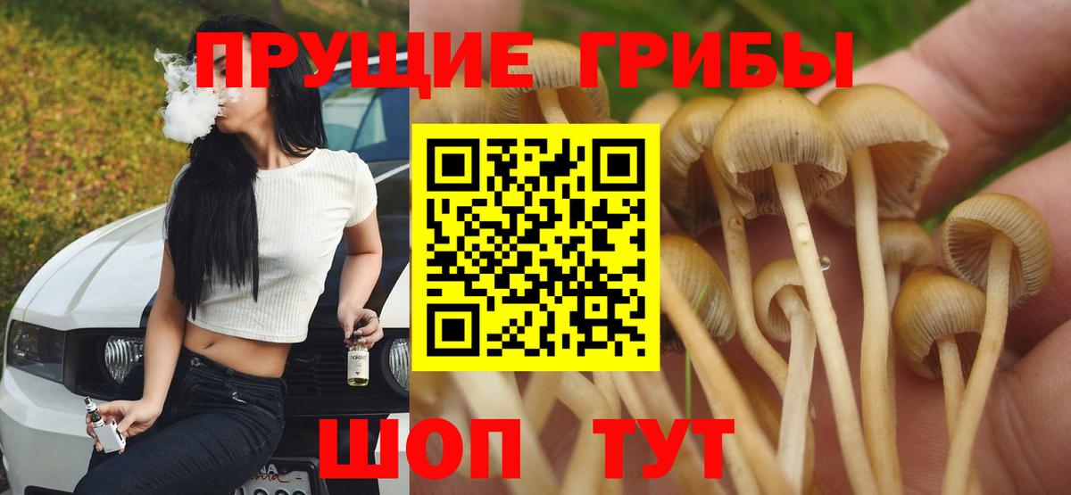 Псилоцибиновые грибы прущие грибы Сургут